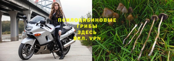амфетамин Белокуриха
