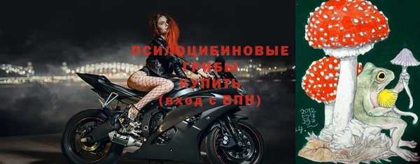 эйфоретик Беломорск